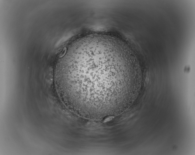 X0000113221301200909241438