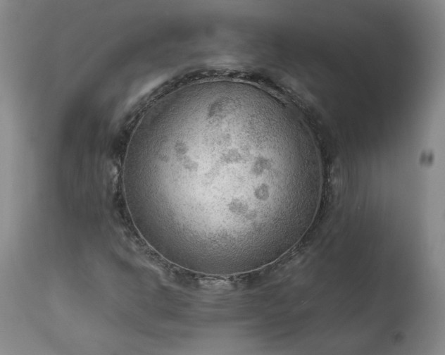 X0000113221302200909241438