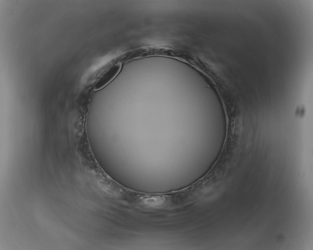 X0000113221303200909241438