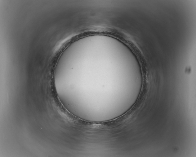 X0000113221304200909241438