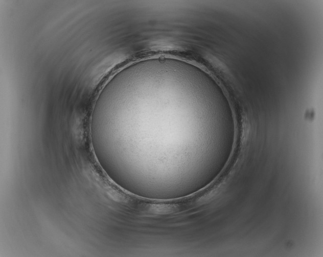 X0000113221305200909241438