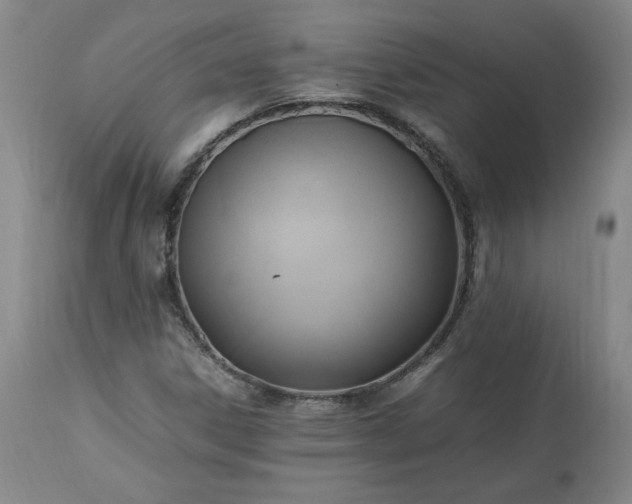 X0000113221306200909241438