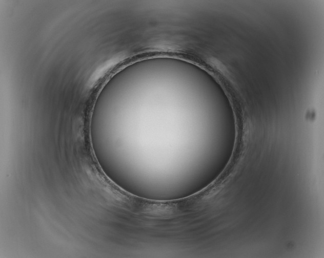 X0000113221307200909241438