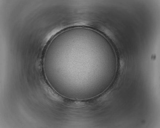 X0000113221308200909241438