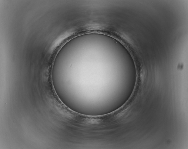 X0000113221309200909241438