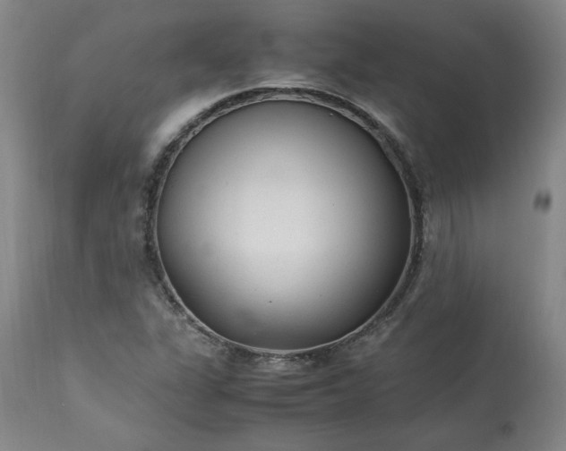 X0000113221311200909241438