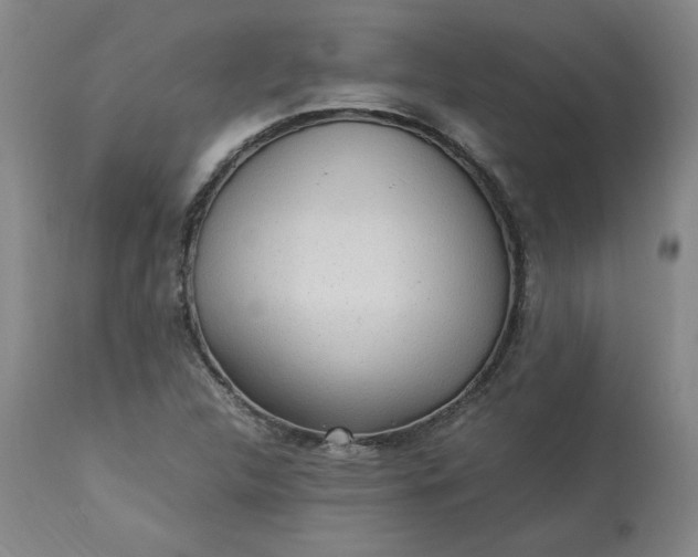 X0000113221312200909241438