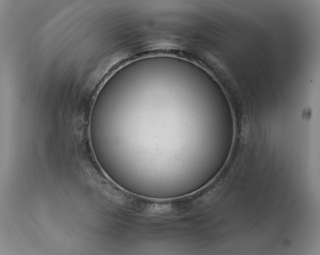 X0000113221313200909241438