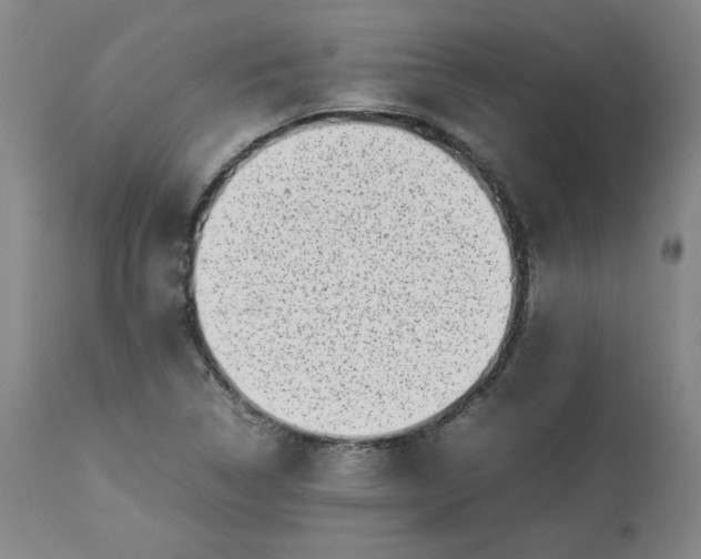 X0000113221314200909241438