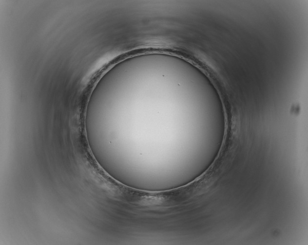 X0000113221315200909241438