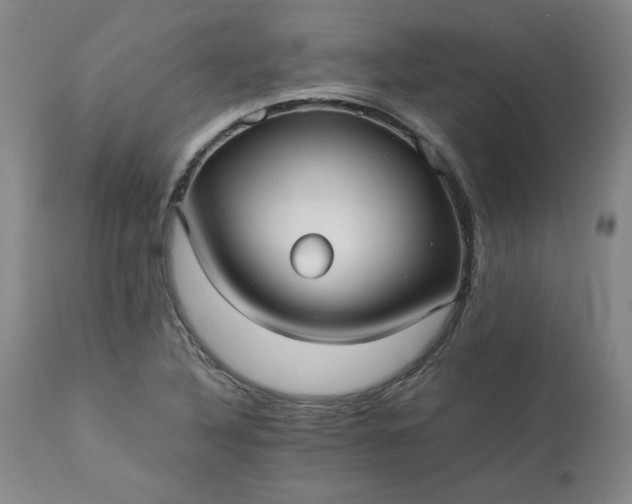 X0000113221316200909241438