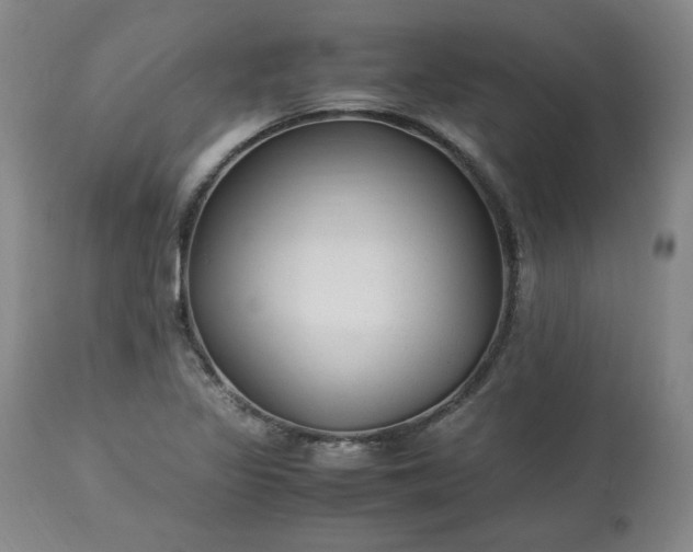 X0000113221317200909241438