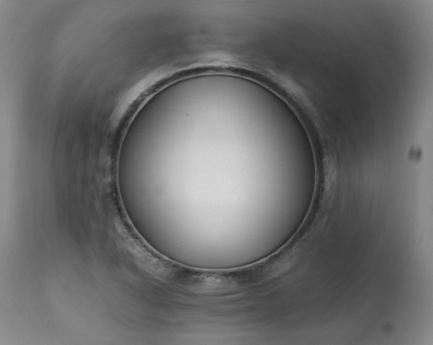 X0000113221318200909241438