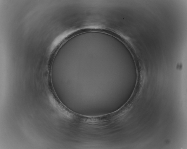 X0000113221319200909241438