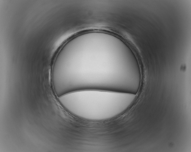 X0000113221320200909241438