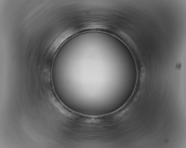 X0000113221321200909241438