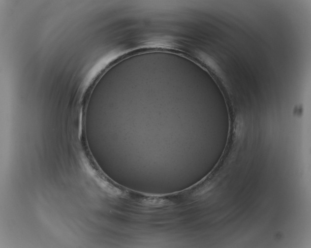 X0000113221323200909241438