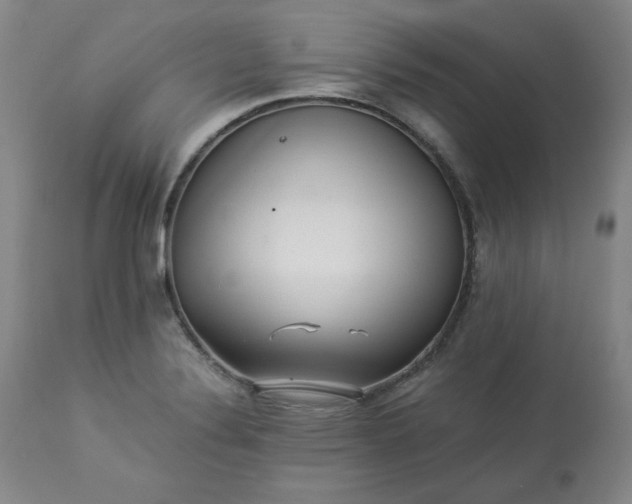 X0000113221324200909241438