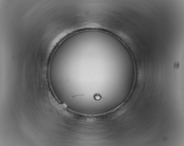 X0000113221326200909241438