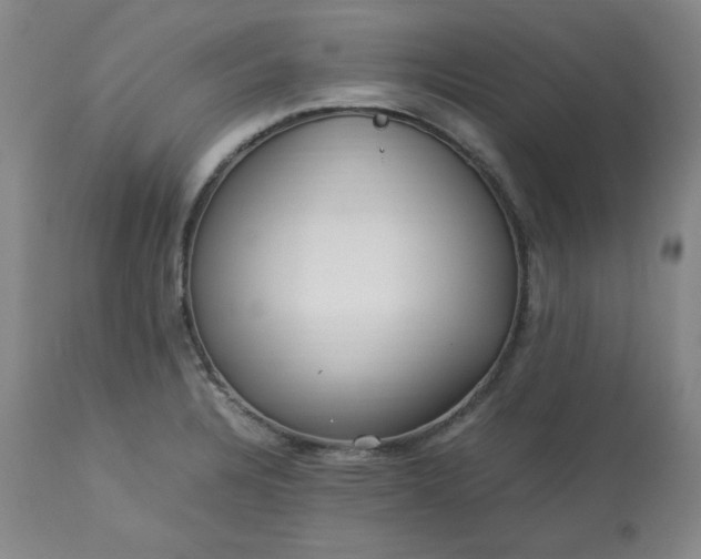 X0000113221328200909241438