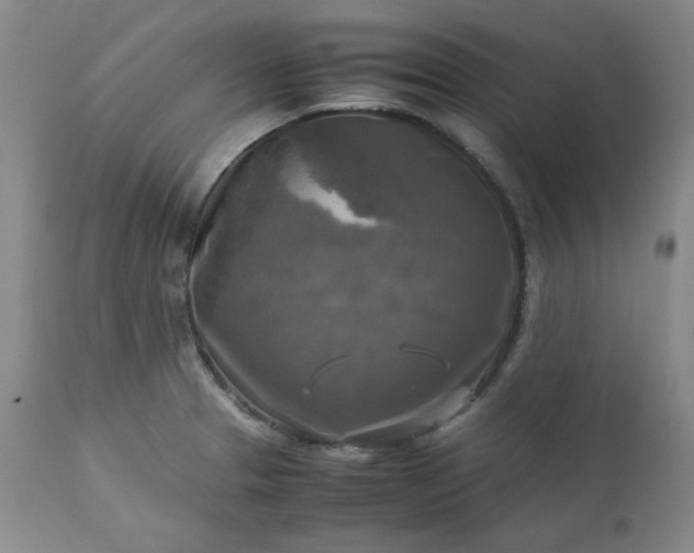 X0000113221329200909241438