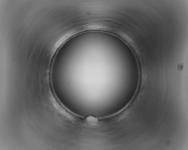 X0000113221330200909241438