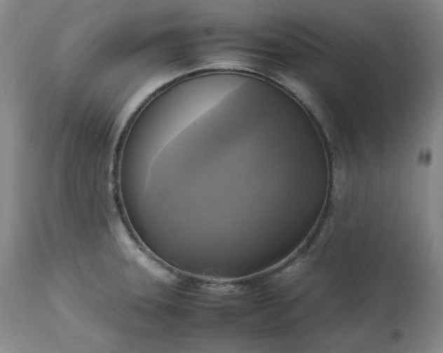 X0000113221331200909241438