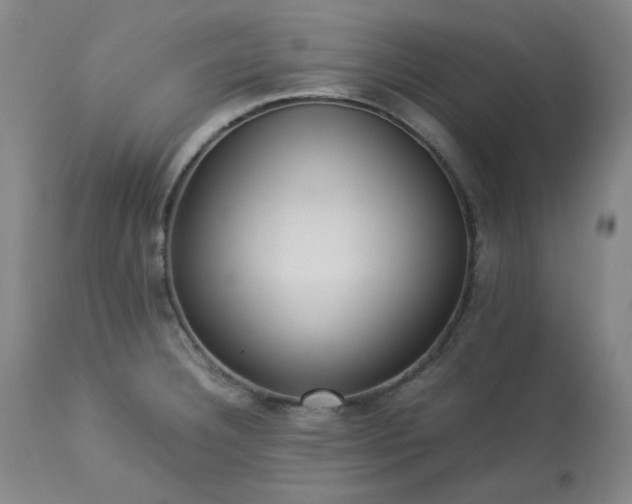 X0000113221332200909241438