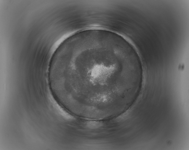 X0000113221333200909241438