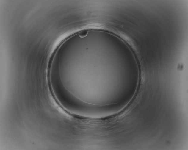 X0000113221334200909241438