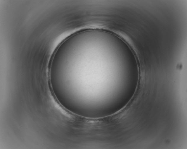 X0000113221335200909241438