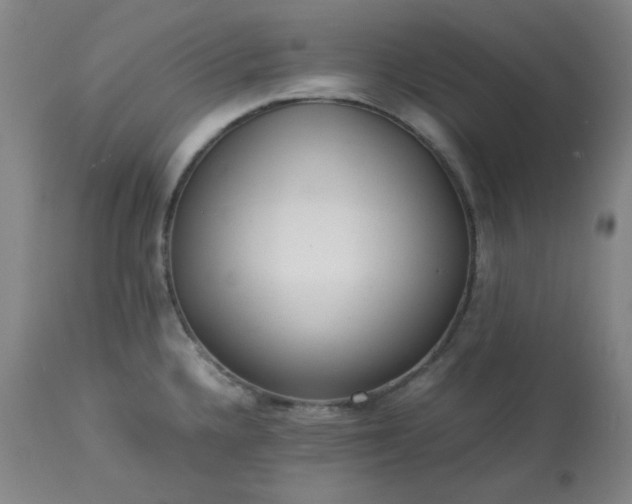 X0000113221336200909241438