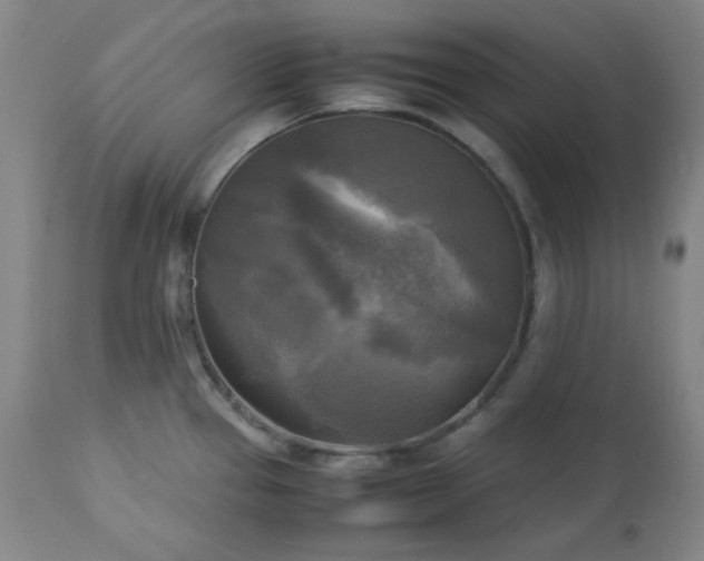 X0000113221337200909241438