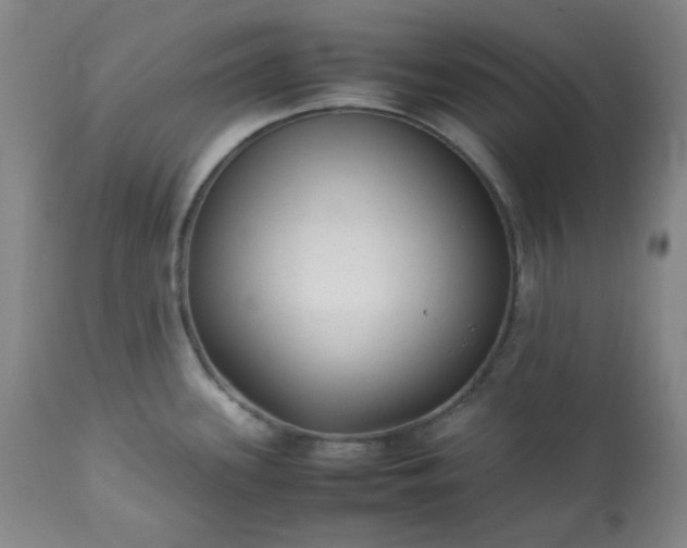 X0000113221339200909241438