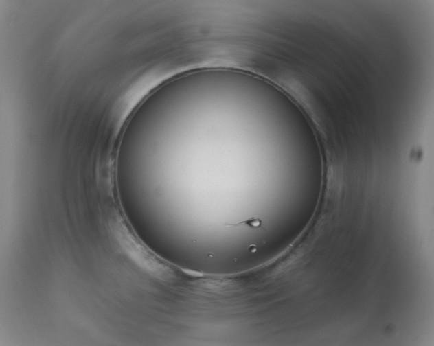 X0000113221340200909241439