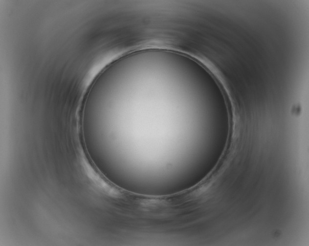 X0000113221341200909241439