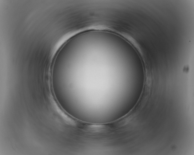 X0000113221343200909241439