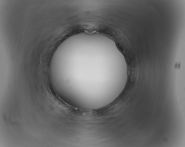 X0000113221345200909241438