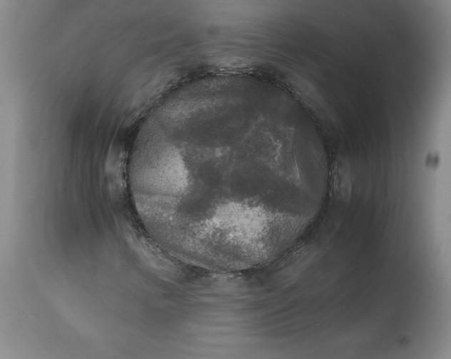 X0000113221346200909241438