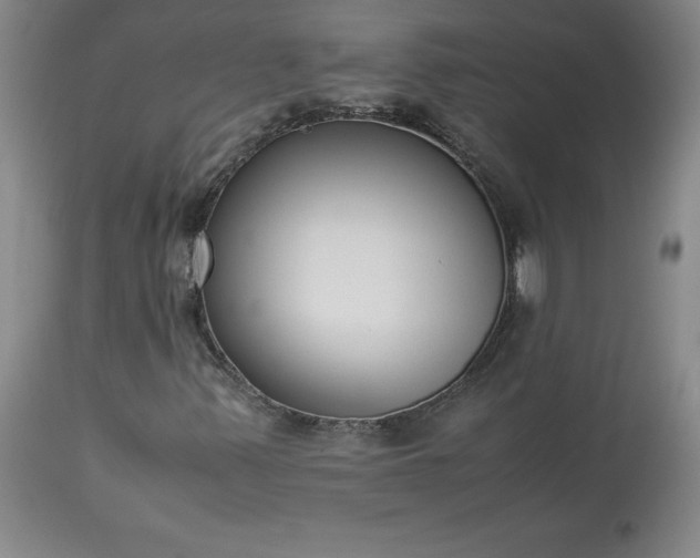 X0000113221347200909241438