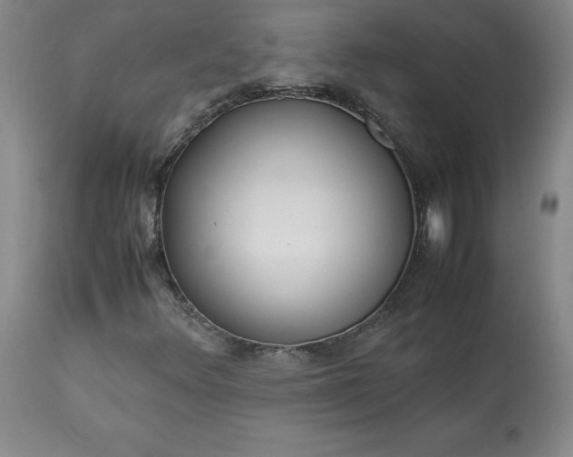 X0000113221348200909241438