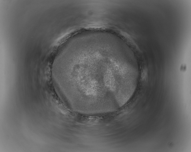 X0000113221350200909241438