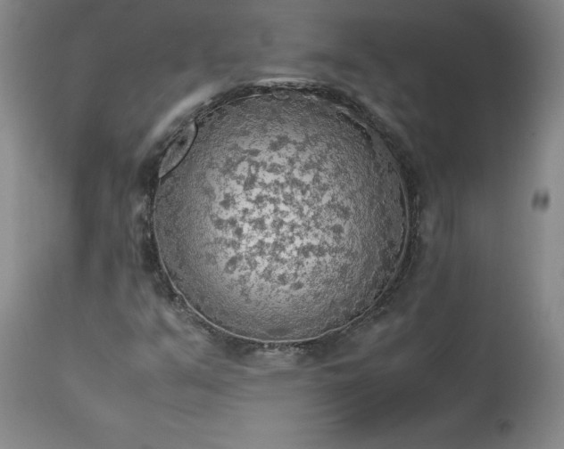 X0000113221351200909241438