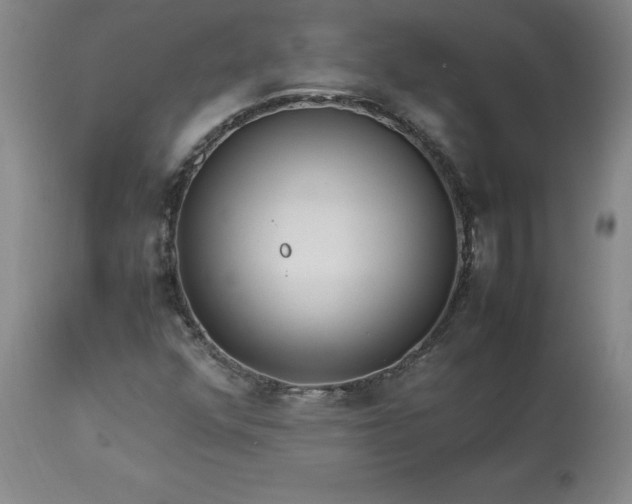 X0000113221352200909241438