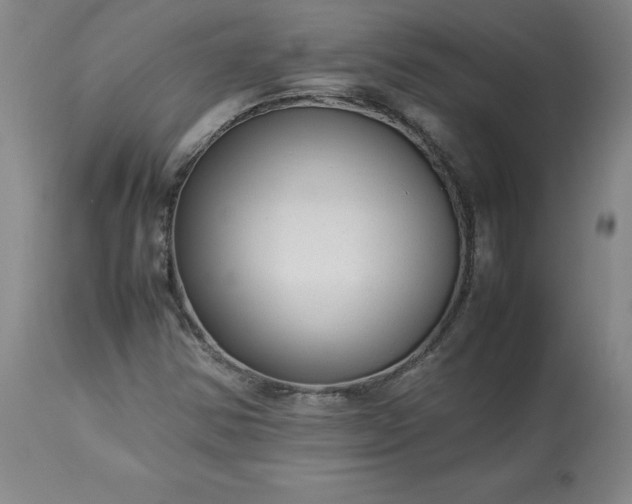 X0000113221354200909241438