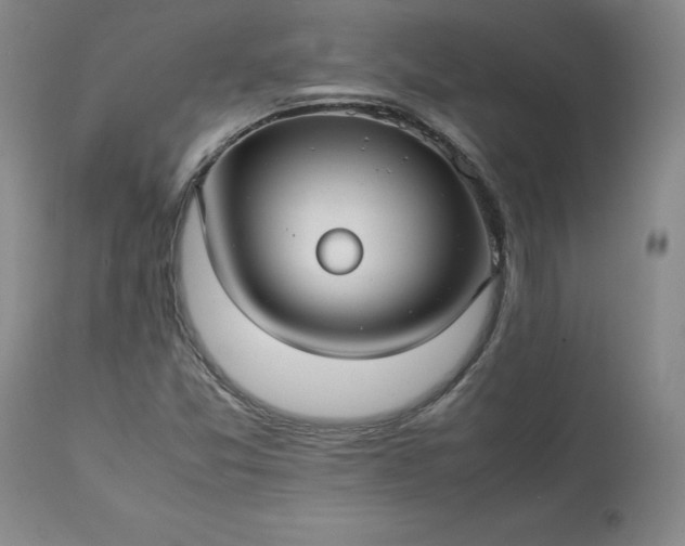 X0000113221357200909241437