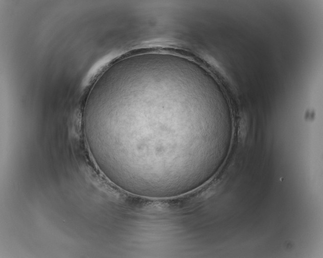 X0000113221358200909241437