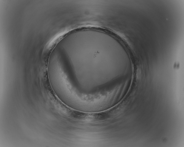 X0000113221359200909241437