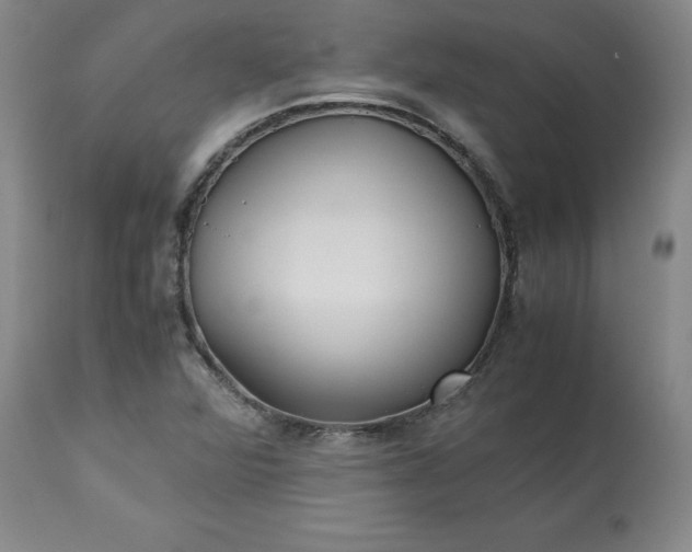 X0000113221360200909241437