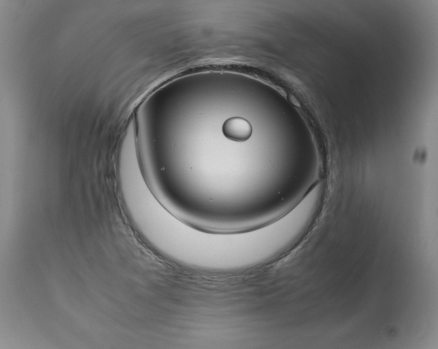 X0000113221361200909241437